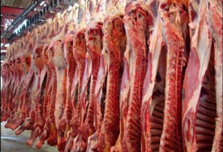 Exportação de carne bovina para Arábia Saudita aumenta possibilidades do setor pecuário
