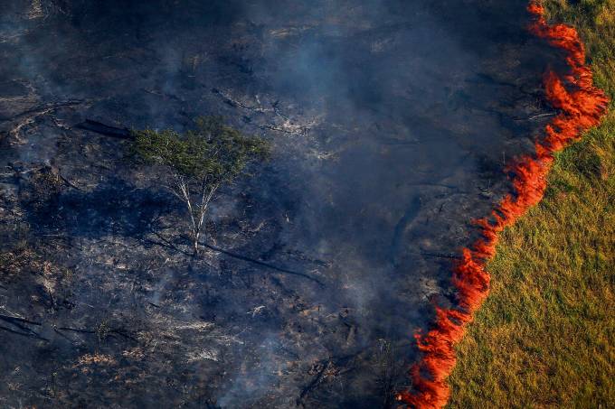 Devastação da floresta também é prejudicial à saúde (Bruno Kelly/Reuters)