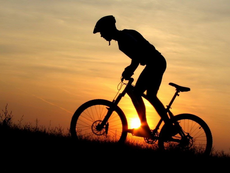 Sinal em forma de diamante com uma bicicleta. alertar os