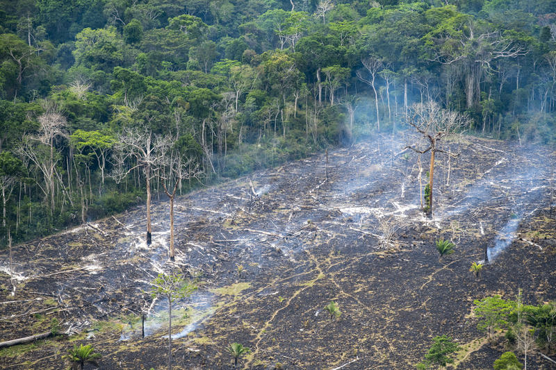 No Pará, MPF investiga contratação de sistema privado para monitorar desmatamento
