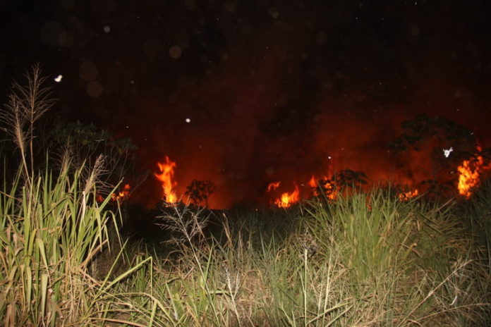 incendio ok