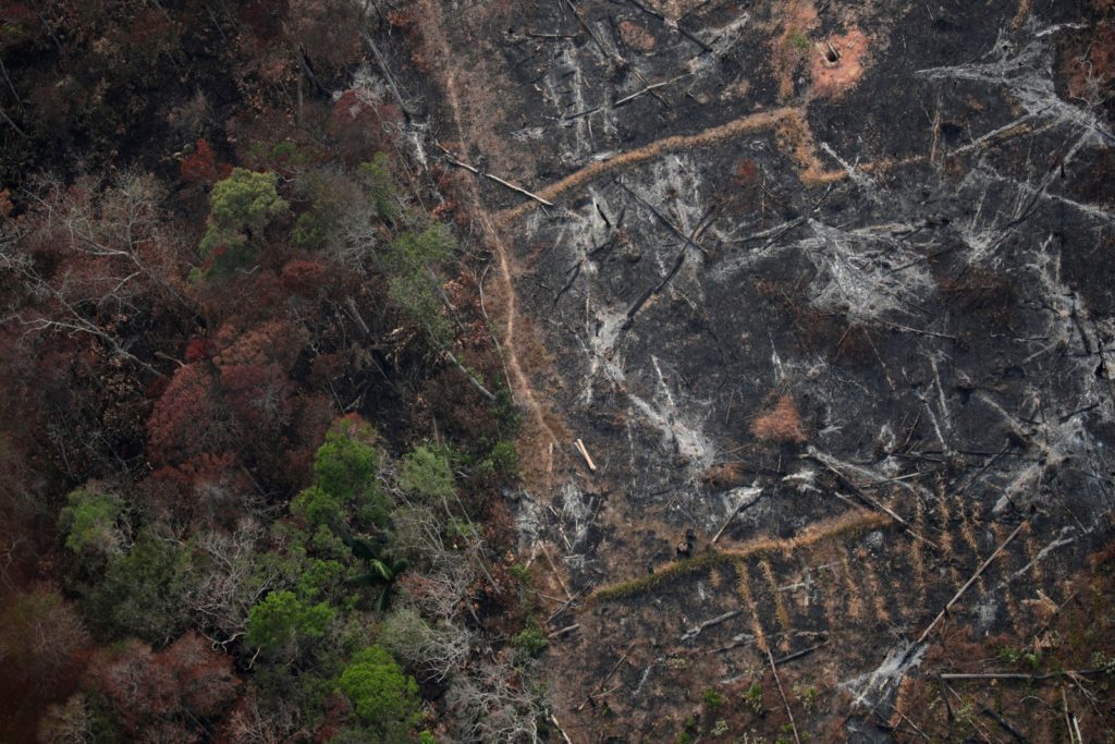 Foto aérea mostra uma parcela desmatada da Amazônia perto de Porto Velho nesta quinta-feira (22) — Foto: Ueslei Marcelino/Reuters