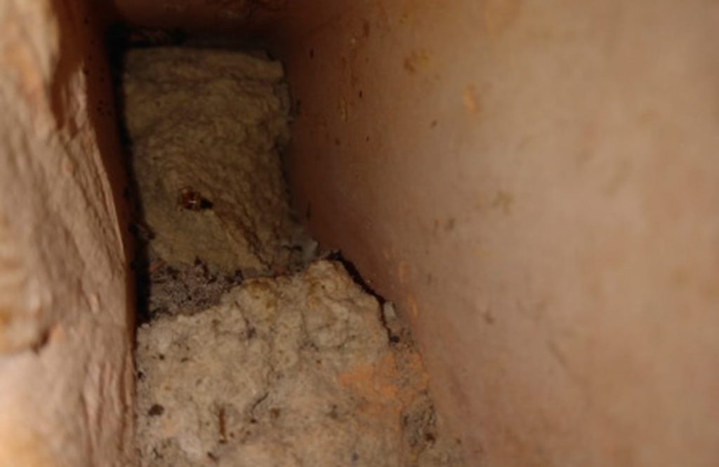 Túnel é encontrado no CRF de Ananindeua, na Grande Belém. — Foto: Reprodução / Susipe