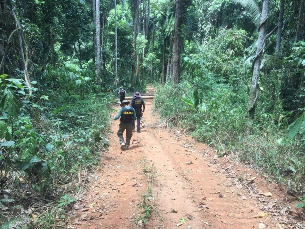 Polícia Federal identifica áreas de desmatamento e grilagem em terras indígenas de Altamira