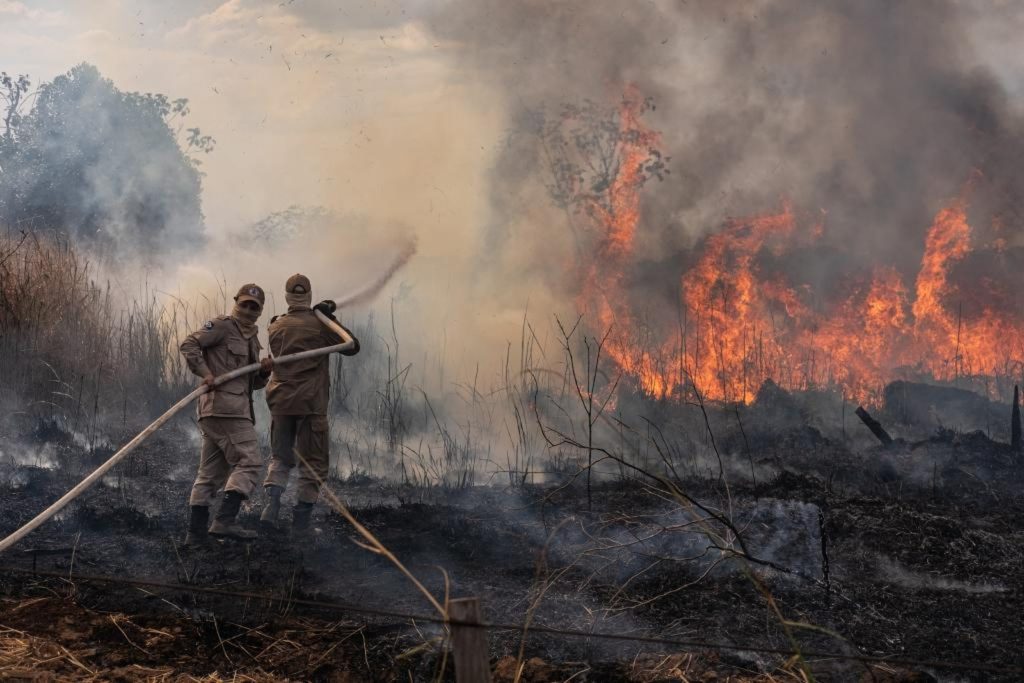 Força Tarefa combate mais de 330 focos de incêndios no Pará no primeiro mês de operação