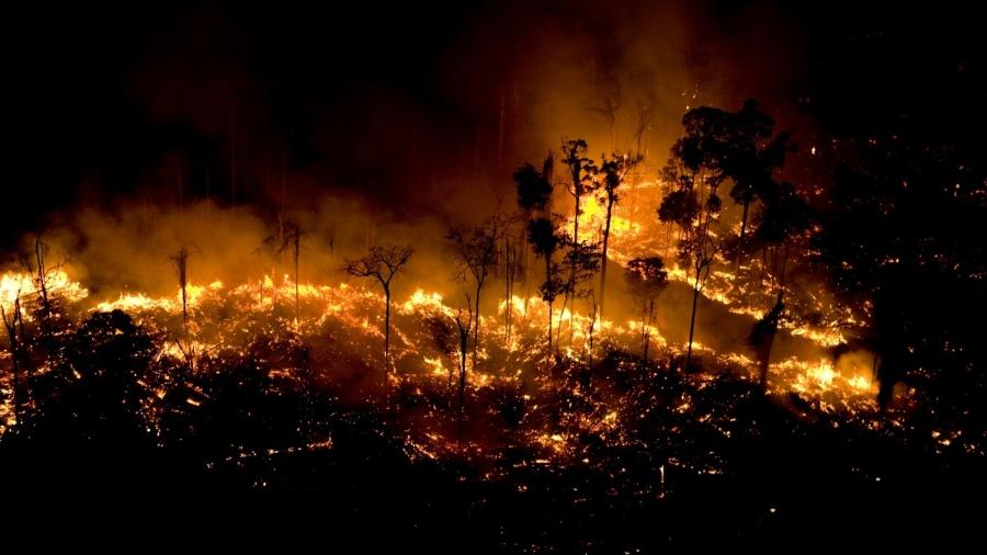 São Félix do Xingu lidera queimadas no começo de setembro