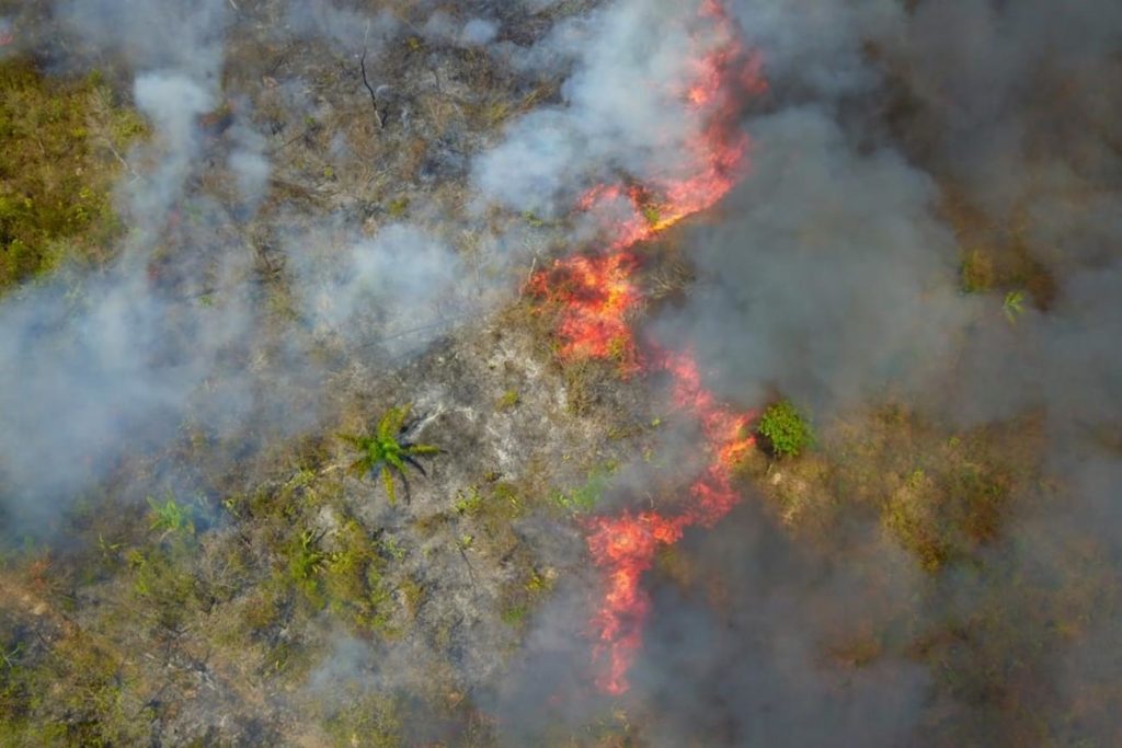 Operação Fênix continua trabalhando no combate a queimadas no Pará