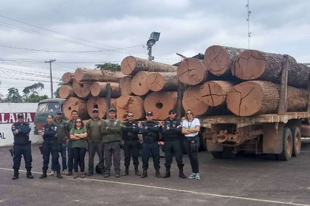 Operação apreende seis caminhões carregados de madeira ilegal em Tucuruí