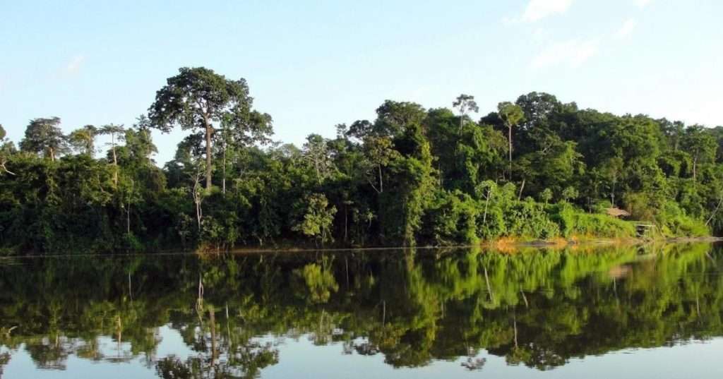 Pará cria o 'Fundo da Amazônia Oriental' para o desenvolvimento sustentável da região