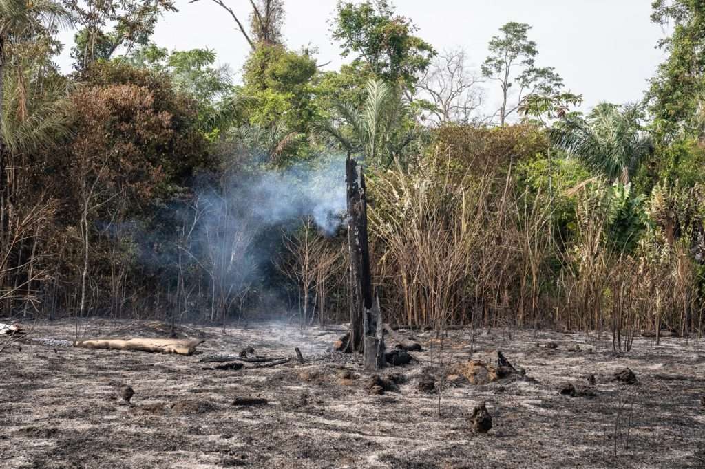 Terras indígenas na Amazônia têm maior número de queimadas desde 2011; focos dobram em relação a 2018