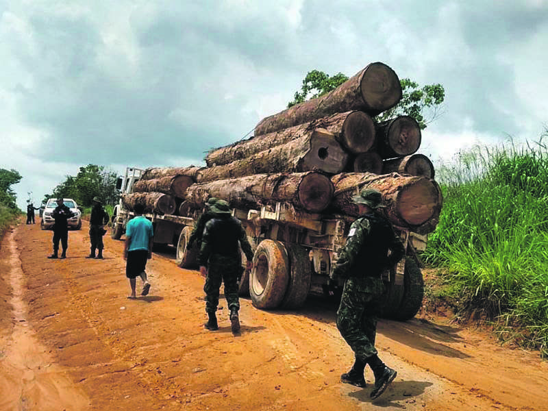 Pará intensifica combate ao desmatamento