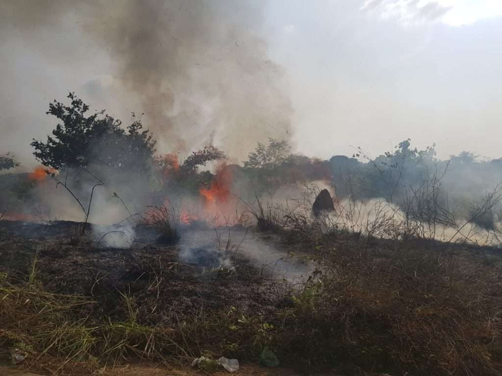 Parauapebas: Homem é preso em flagrante ateando fogo em vegetação