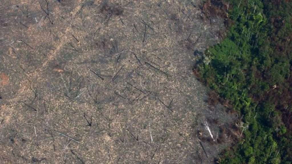 Pará tem 60% das áreas protegidas pressionadas pelo desmatamento na Amazônia, diz Imazon