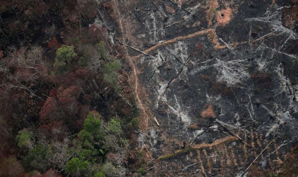 Desmatamento na Amazônia cresce quase 30%
