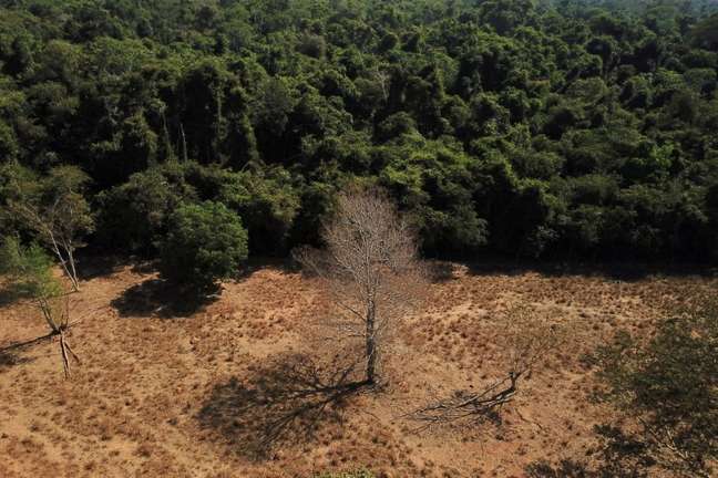 Área desmatada da floresta amazônica no Mato Grosso 28/07/2021 / Foto: Reuters /Amanda Perobelli