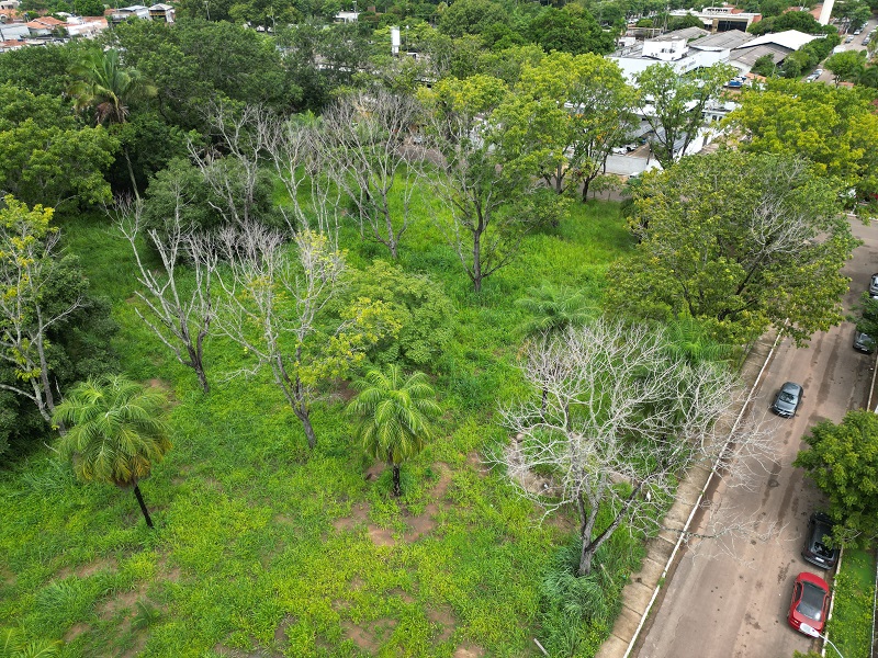 Mognos aparecem mortos em área da Polícia Federal em Marabá