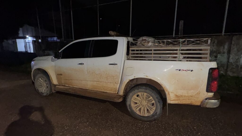 Picape branca suja de lama com um felino no teto e um animal grande na caçamba à noite.