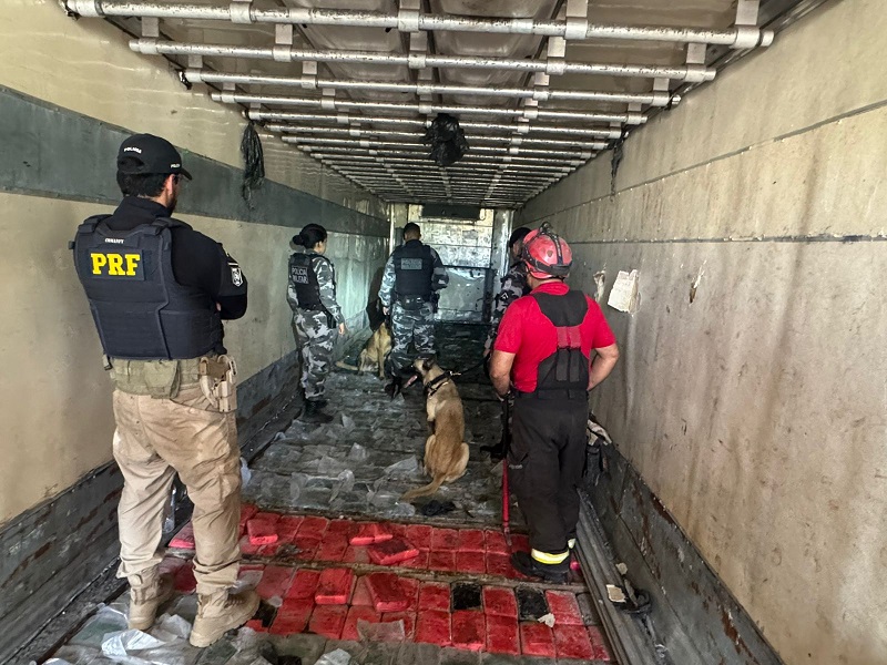 Operação policial com cães farejadores e grande apreensão de drogas em compartimento escuro.