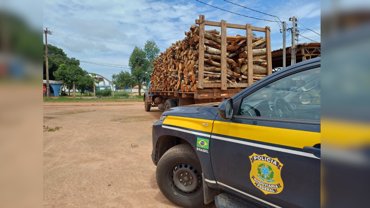 PRF apreende 311 metros cúbicos de madeira em quatro dias