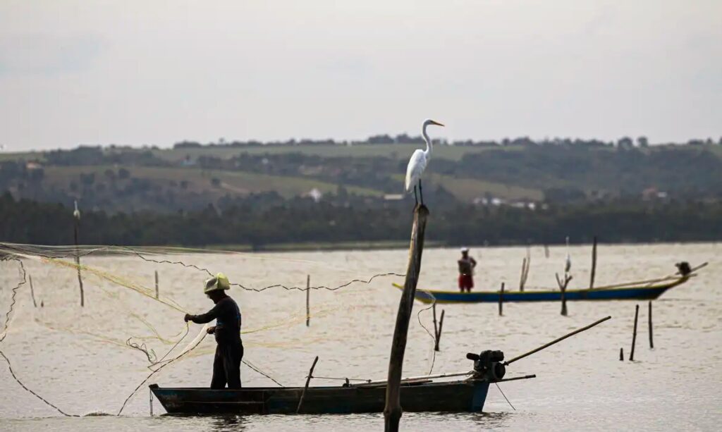 Garça-branca em poste, pescador em barco e redes de pesca em lago sereno.