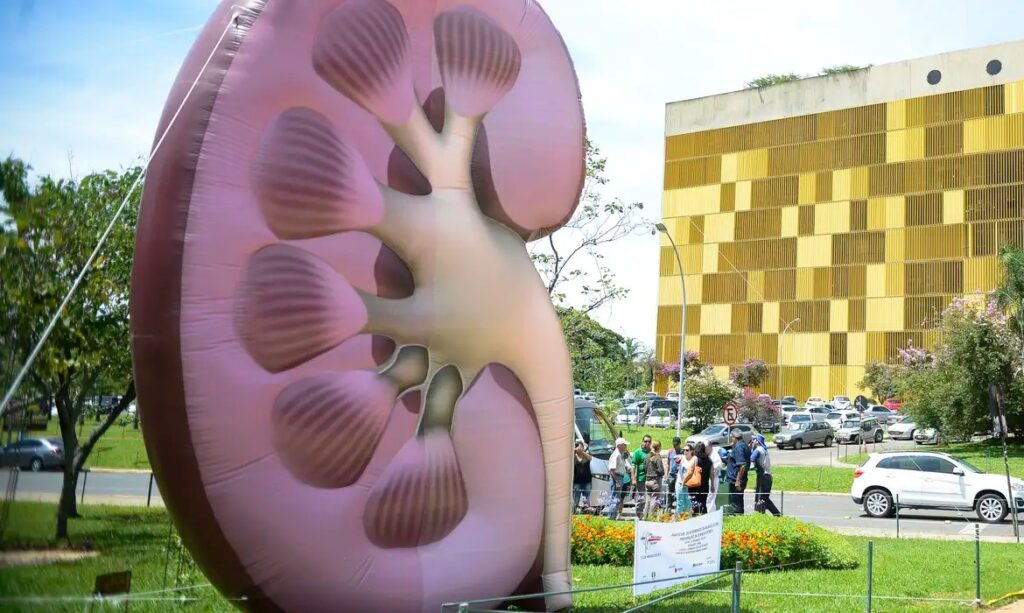 Rim inflável gigante em exposição pública para conscientização.