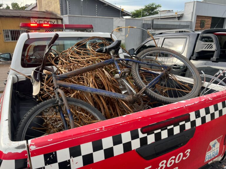 Furto e fraude de energia são alvos de operações policiais no sudeste do Pará