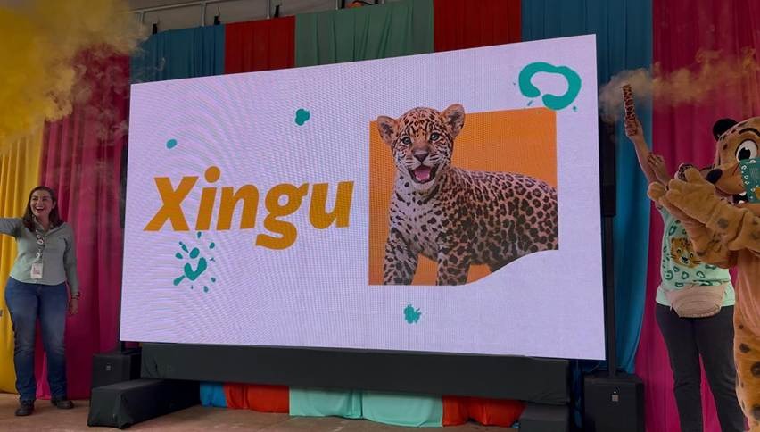 Evento de revelação do nome 'Xingu' com imagem de filhote de onça-pintada em telão, uma mulher e um mascote soltando fumaça colorida.