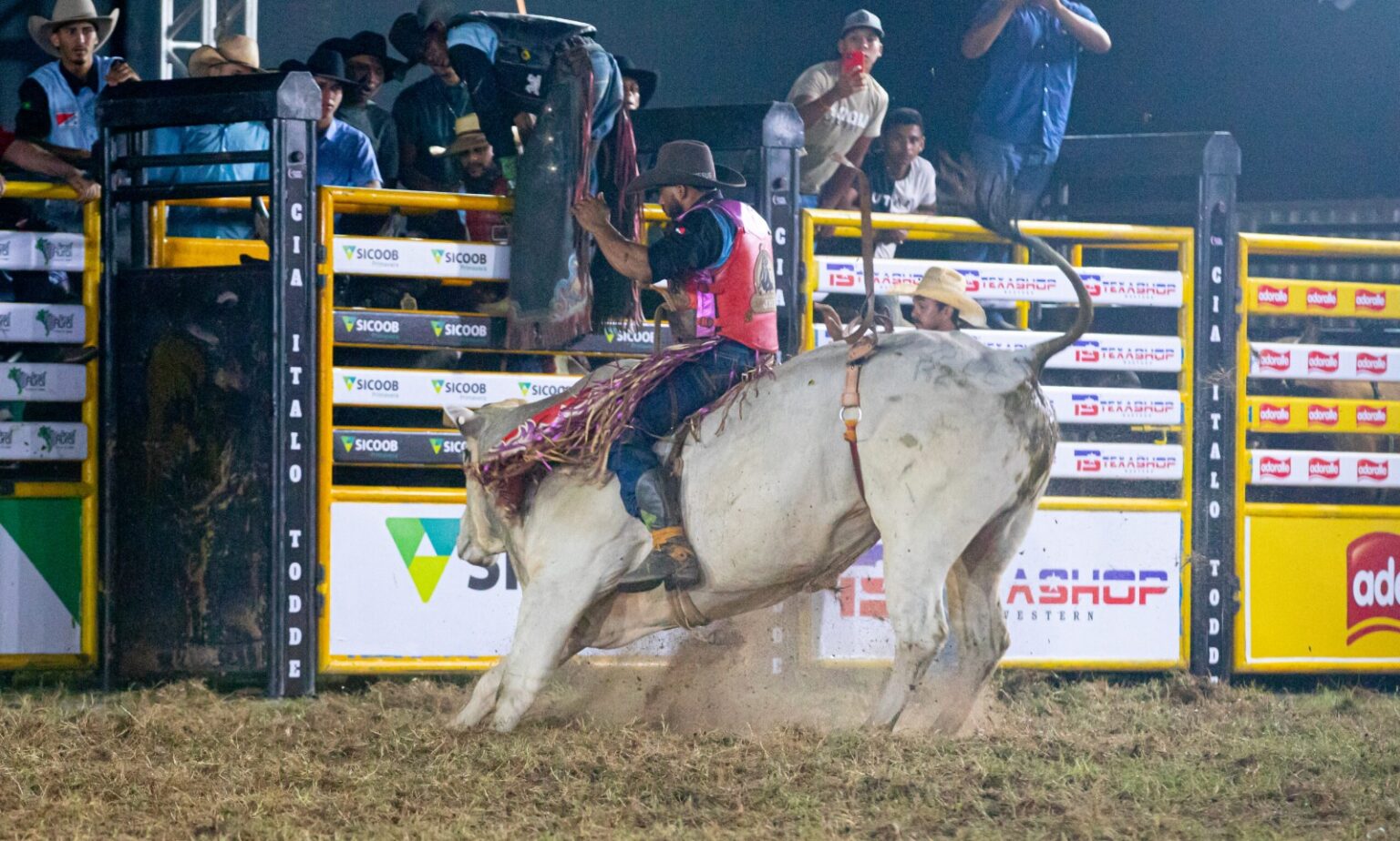 Sindicato Rural lança Expoama 2026 revelando os shows e mudanças no rodeio