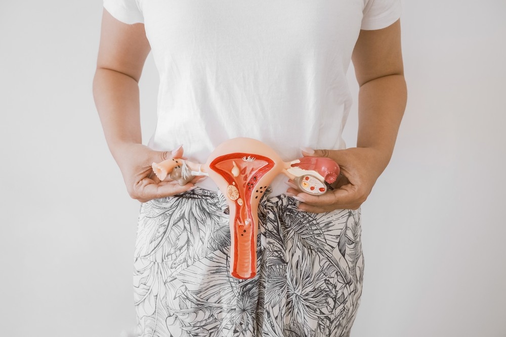 Modelo anatômico detalhado do sistema reprodutor feminino, com útero e ovários, segurado por uma pessoa.