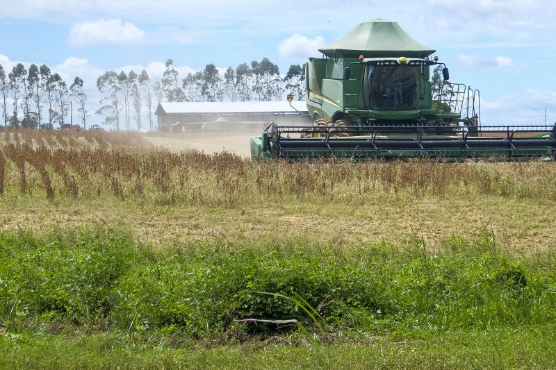 Colheitadeira verde em campo agrícola, com poeira e celeiro ao fundo.