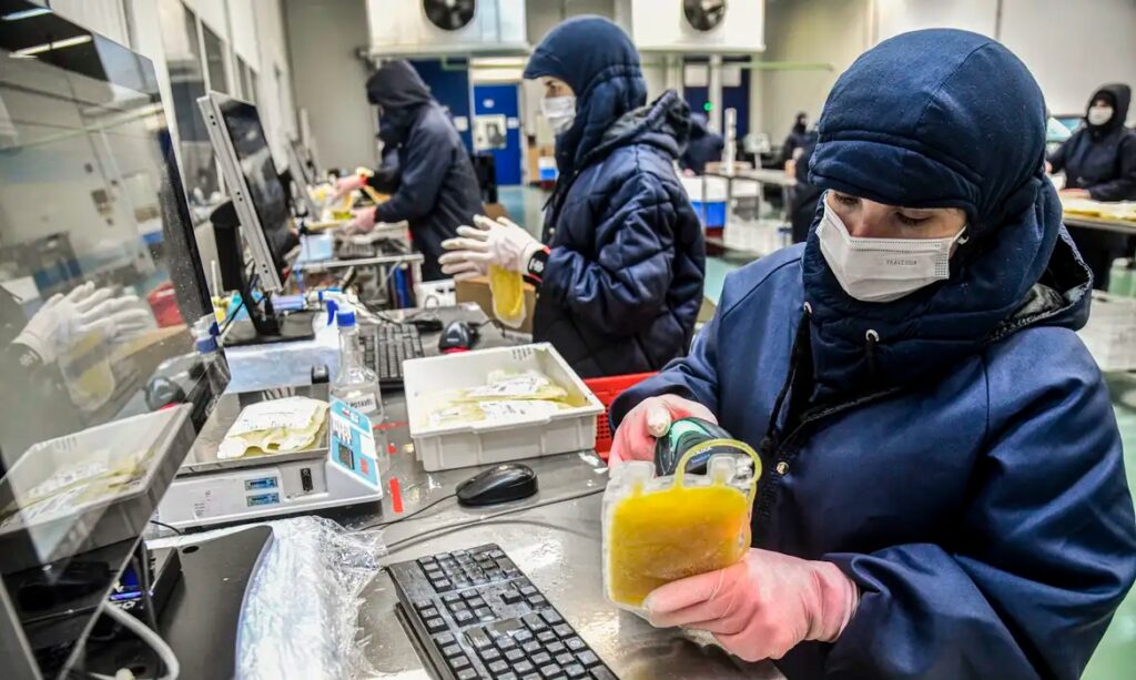 Pessoas em roupas de proteção processando bolsas de plasma em laboratório.
