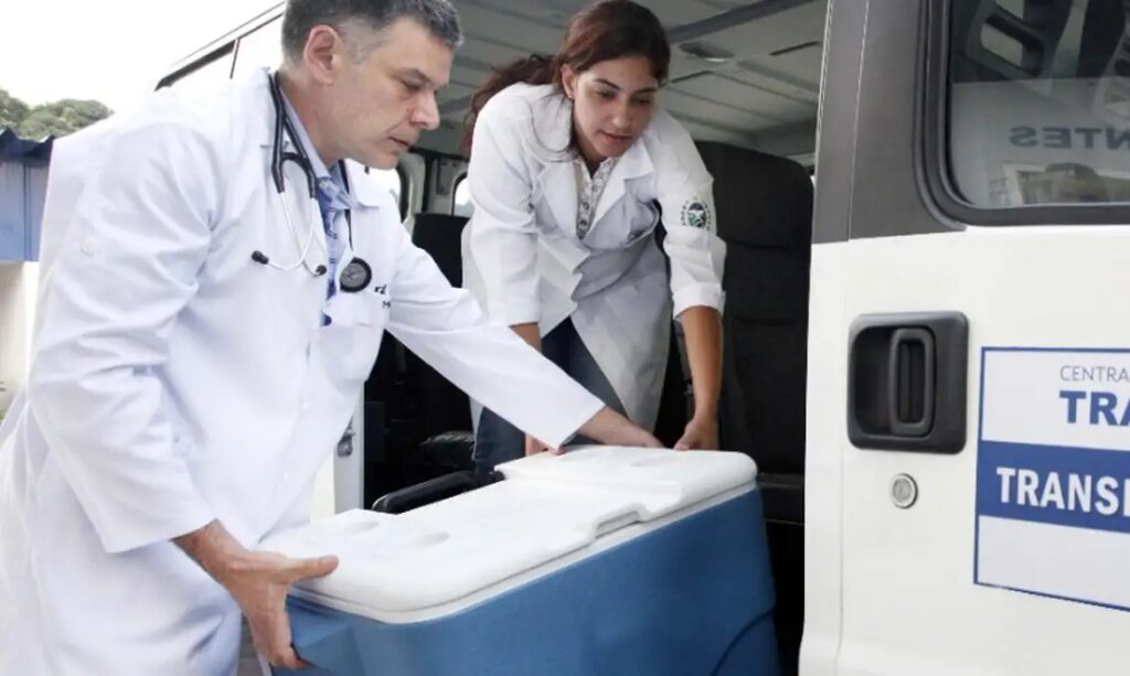 Dois profissionais de saúde transportando um cooler médico grande.