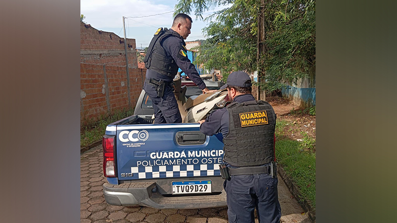 Dois guardas municipais colocando uma scooter branca na caçamba de uma caminhonete policial.