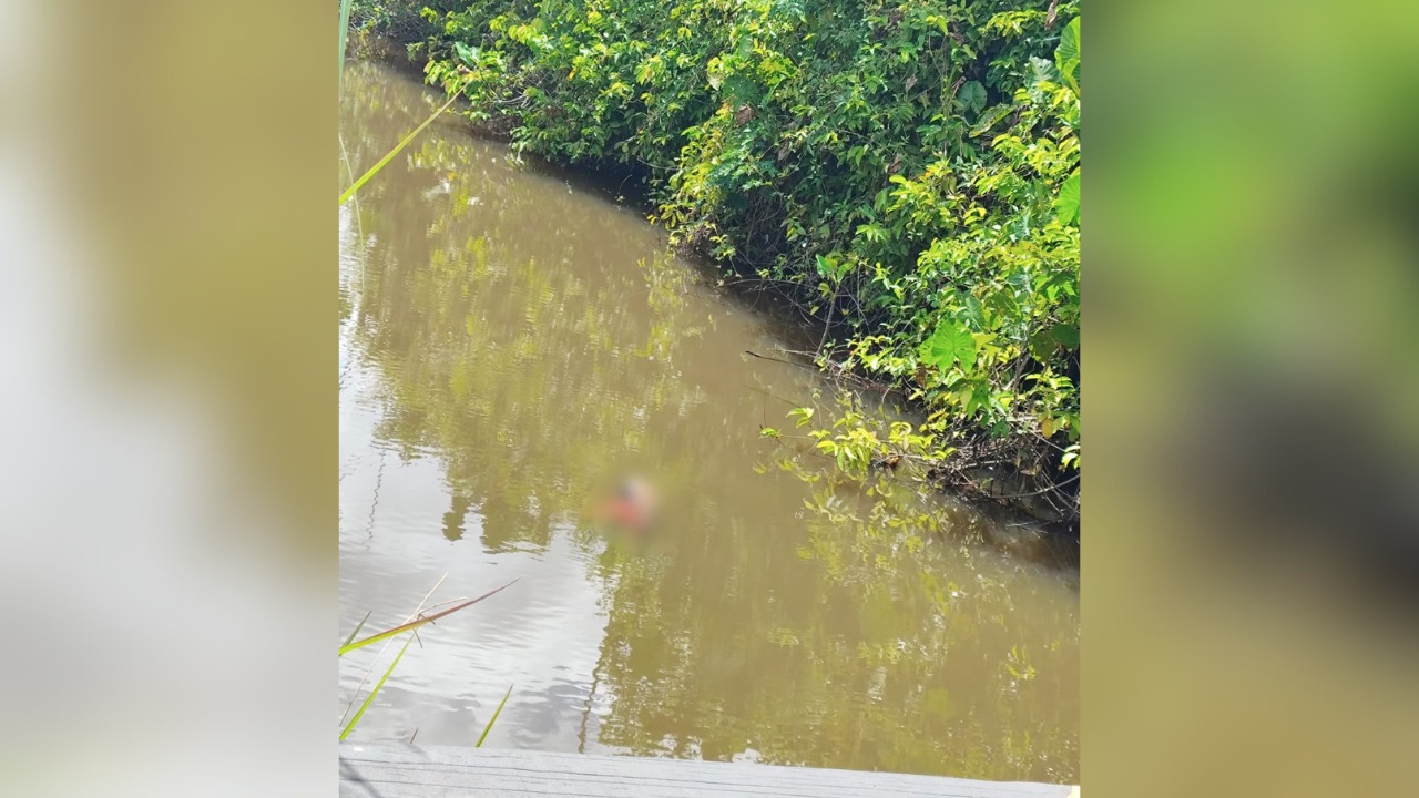 Corpo é encontrado submerso em igarapé na Ponte da Cigana