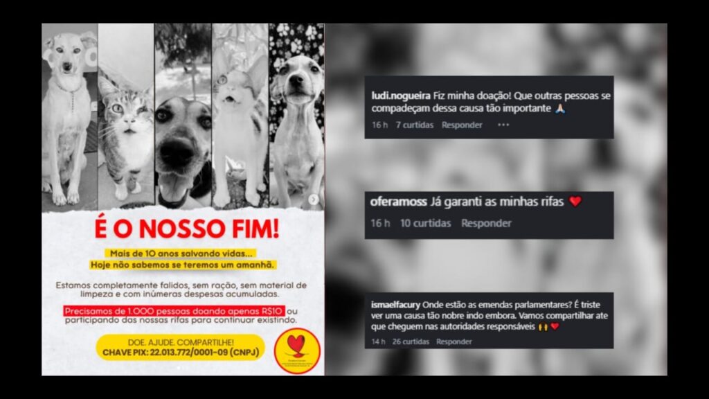 Três cães em preto e branco com olhares preocupados, com texto em vermelho "NOSSO FIM!" e apelo por doações para abrigo de animais.