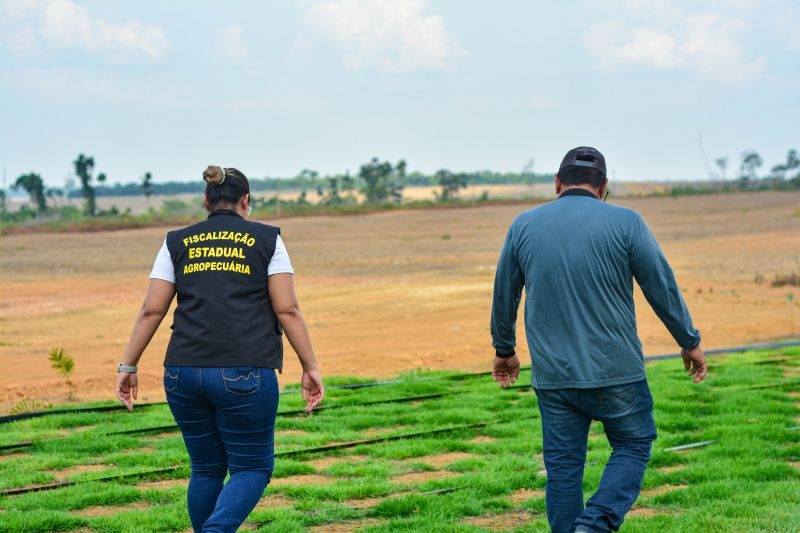 Duas pessoas, incluindo uma fiscal agropecuária, caminhando por um campo verde e terra arada.