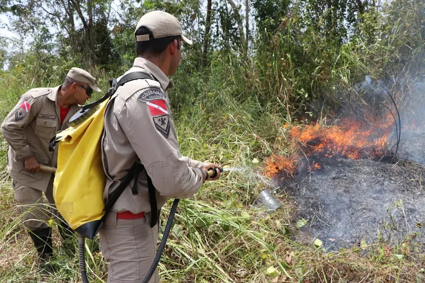 Bombeiro apagando foco de incêndio em vegetação rasteira com esguicho.