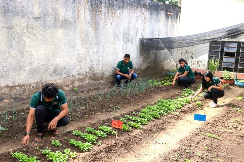 Quatro jovens em camisetas verdes cuidando de uma horta em canteiros de terra.