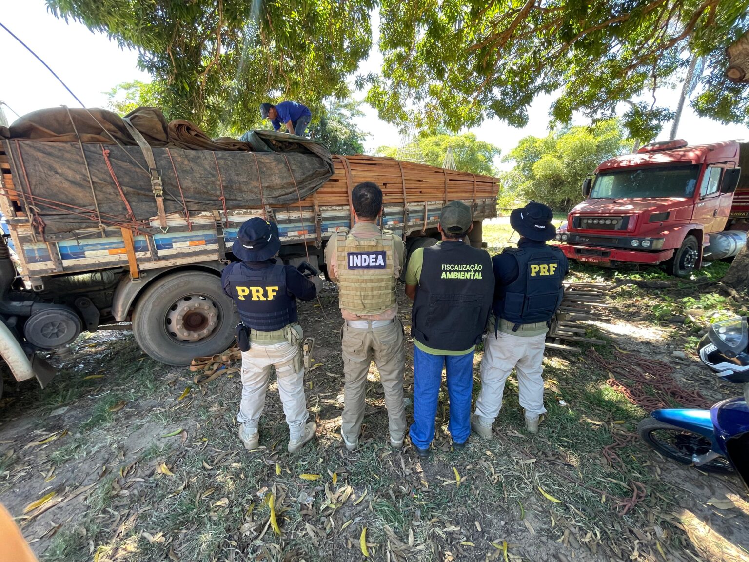 Com apoio de órgão da ONU, PRF apreende mais de 500 m³ de madeira irregular