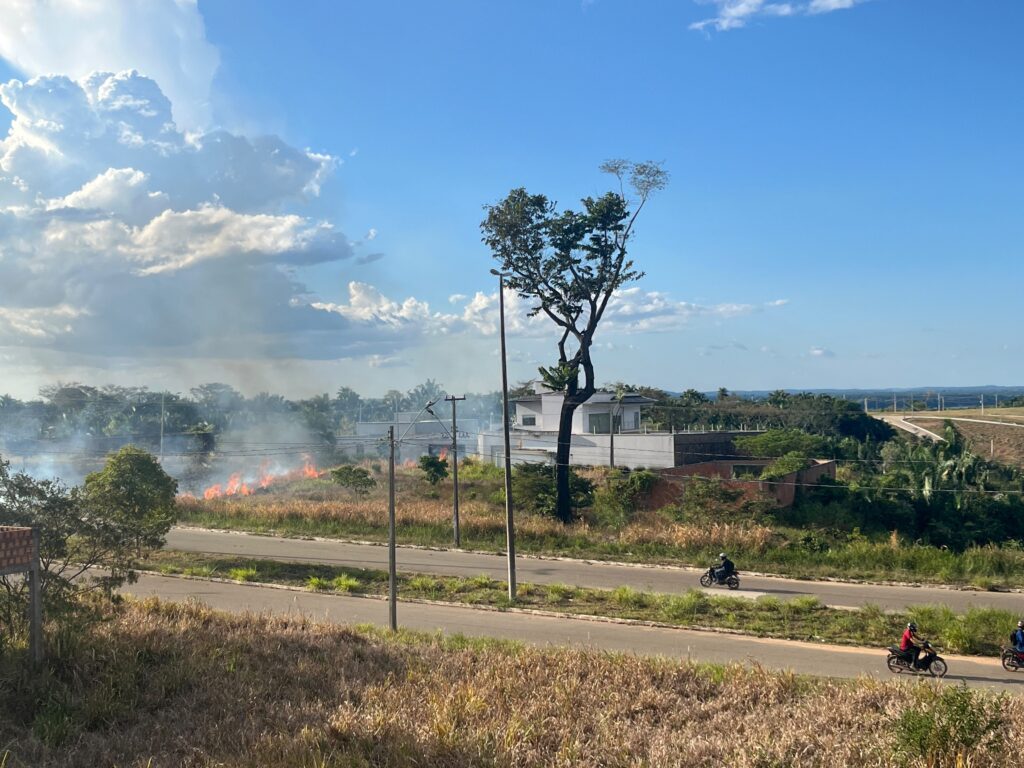 Queimada em terreno baldio próximo a estrada com uma árvore alta