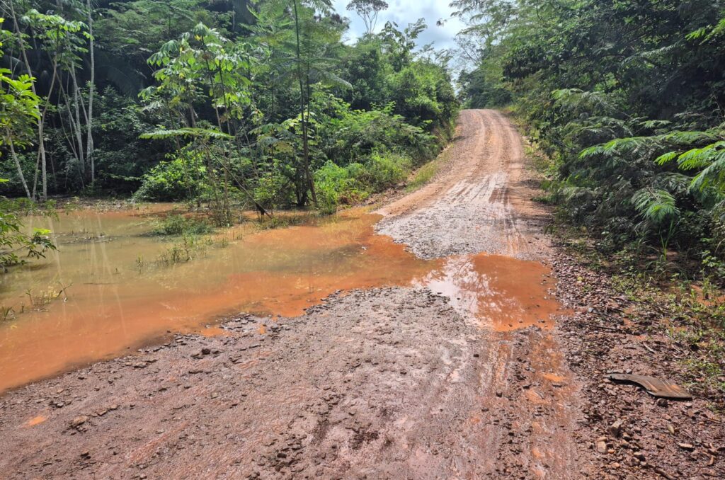 Estrada de terra batida com poça de água alagada cercada por vegetação nativa.