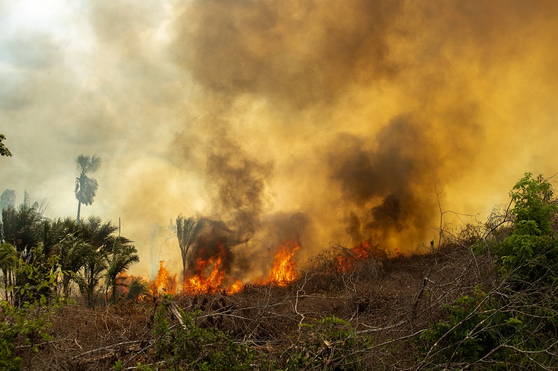 Marabá é o 16º município do Pará com maior foco de calor