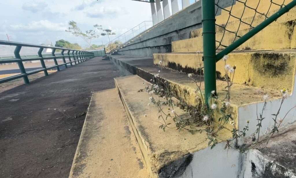 Arquibancada de estádio com plantas silvestres crescendo nas escadas amarelas desgastadas.