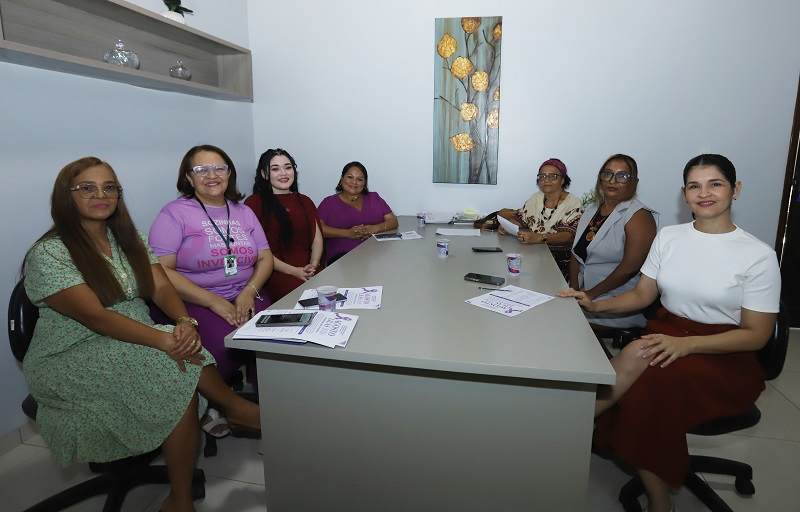 Grupo de sete mulheres reunidas em volta de uma mesa de escritório durante uma reunião de trabalho.