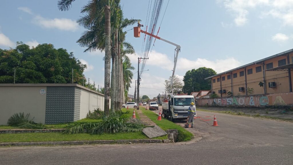 Trabalhador em cesto aéreo cortando galhos de palmeira perto de fios elétricos.