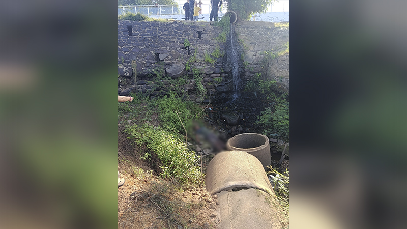 Duto de esgoto despejando água em um terreno com vegetação.