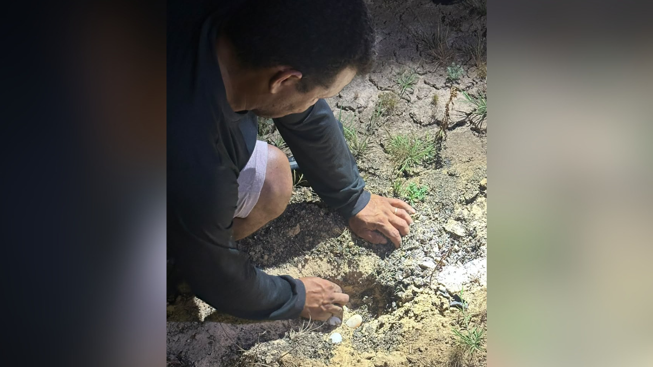Fiscalização nas praias do Rio Tocantins é reforçada para coibir caça de ovos e tartarugas