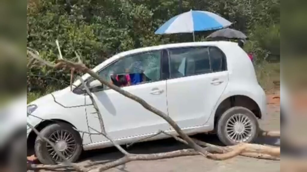 Carro branco atingido por galho de árvore grande durante vendaval