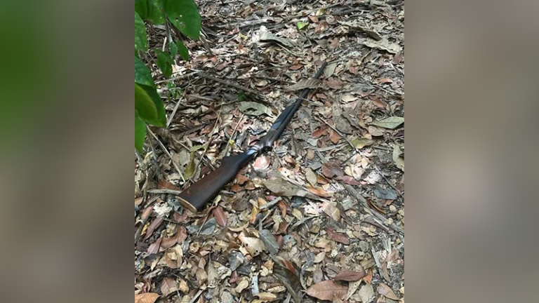 Idosa morre ao ser baleada pelo marido durante caçada