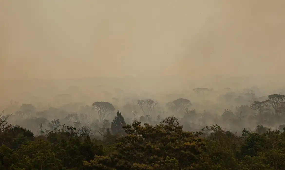 Força Nacional do SUS apoia atendimentos no Amazonas após incêndios